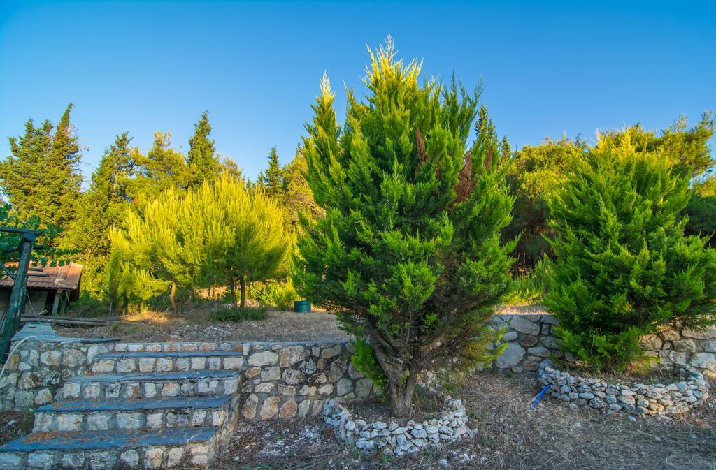 Elatia Villa Βολίμες Εξωτερικό φωτογραφία